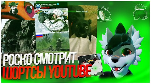 🐺 Роско смотрит Shorts с YouTube