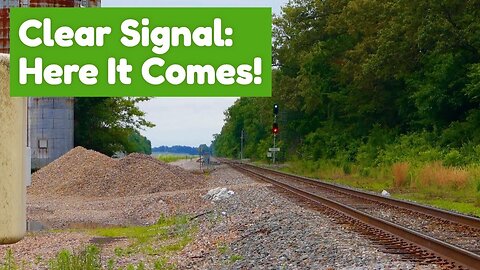 Real Trains in Southern Illinois | BNSF & CN Freight Train Action