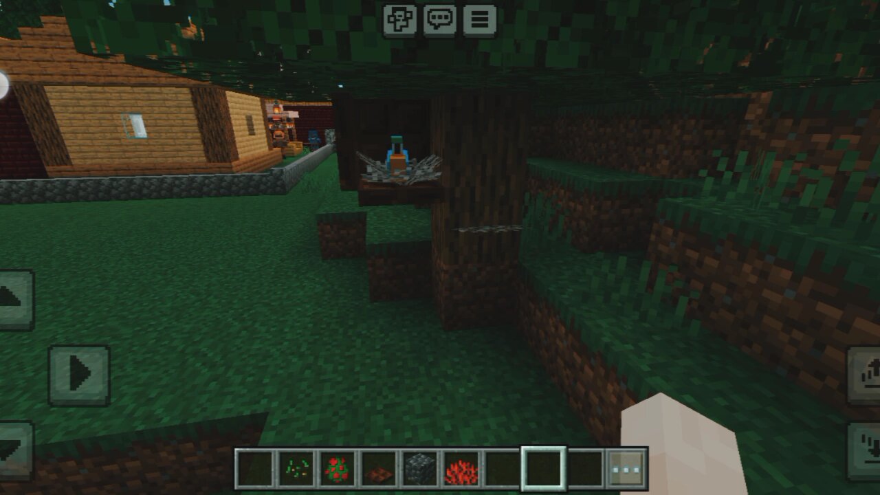 Minecraft making in a Parrot home