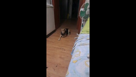 #funny #foryou #fyp #viralvideo #trending #lol #comedy