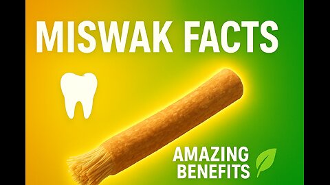 MISWAK 3D VISUALS|3D EDITTING