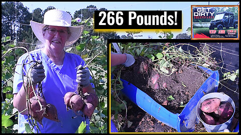 Our Incredible Sweet Potato Haul for 2025, Inspirational Thought