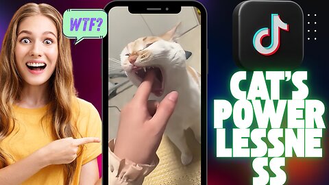 TikTok-Cat's powerlessness #cat #cats #catlover #kitten #catsoftiktok #fyp