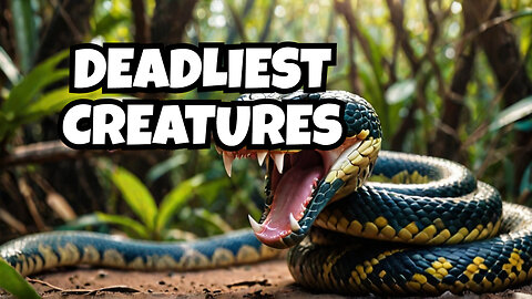 Venom vs Poison What’s the Difference? Deadliest Animals EXPLAINED!