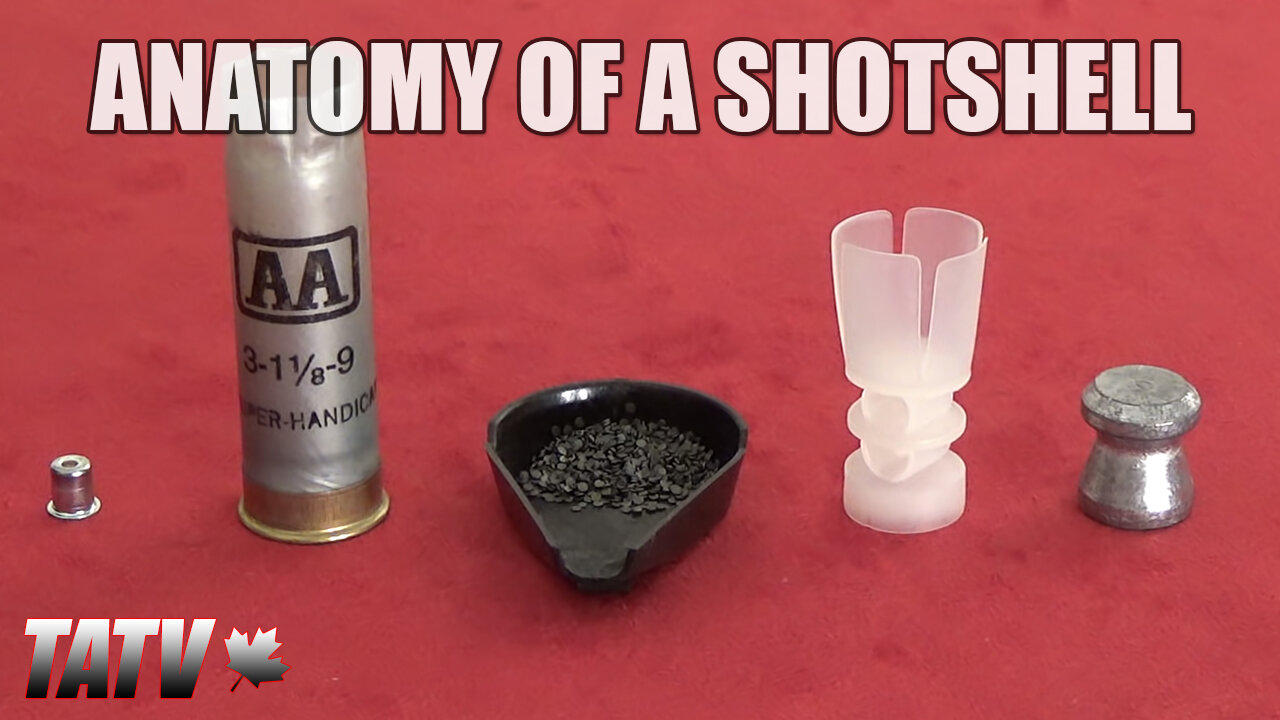 Anatomy of a Shotshell