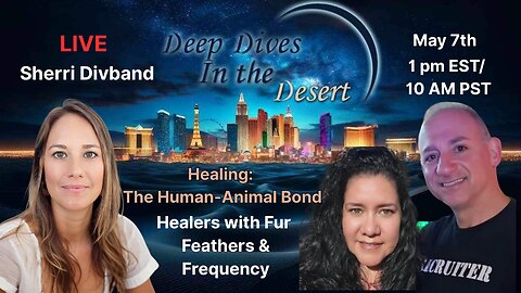 Healing Through the Human-Animal Bond: A Conversation with Sherri Divband