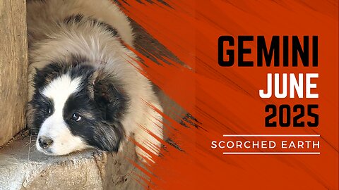 GEMINI || JUNE 2025