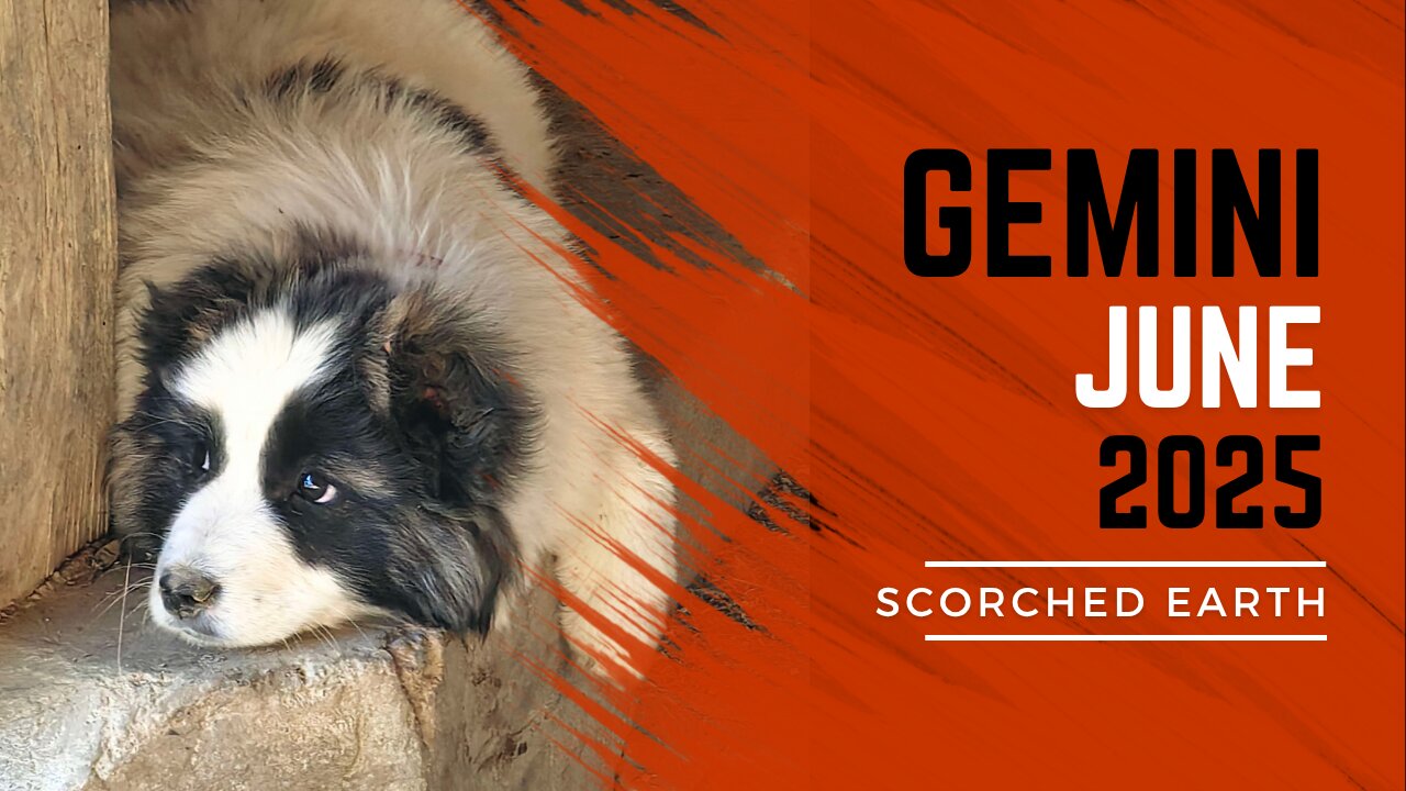 GEMINI || JUNE 2025