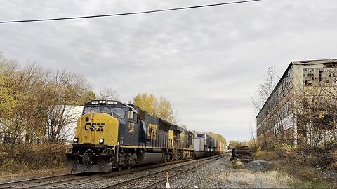 Beginning of November Catches - EMD Rules!