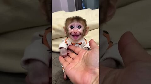 When words fail, a smile like this speaks volumes. ❤️🐵