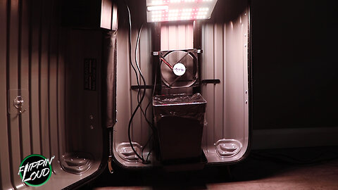 GROWING WEED IN A SUITCASE | Episode 1