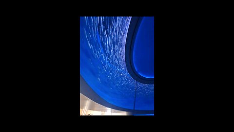 Monterey Bay Aquarium Experience | School of Fish 🐟 | Jellyfish 🪼 | Sea Turtle 🐢