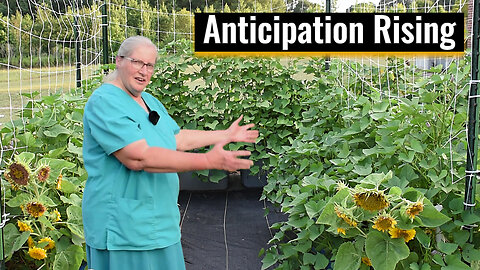 Sweet Potato Plants Exploded with Growth, Garden Update 2025, Inspirational Thought