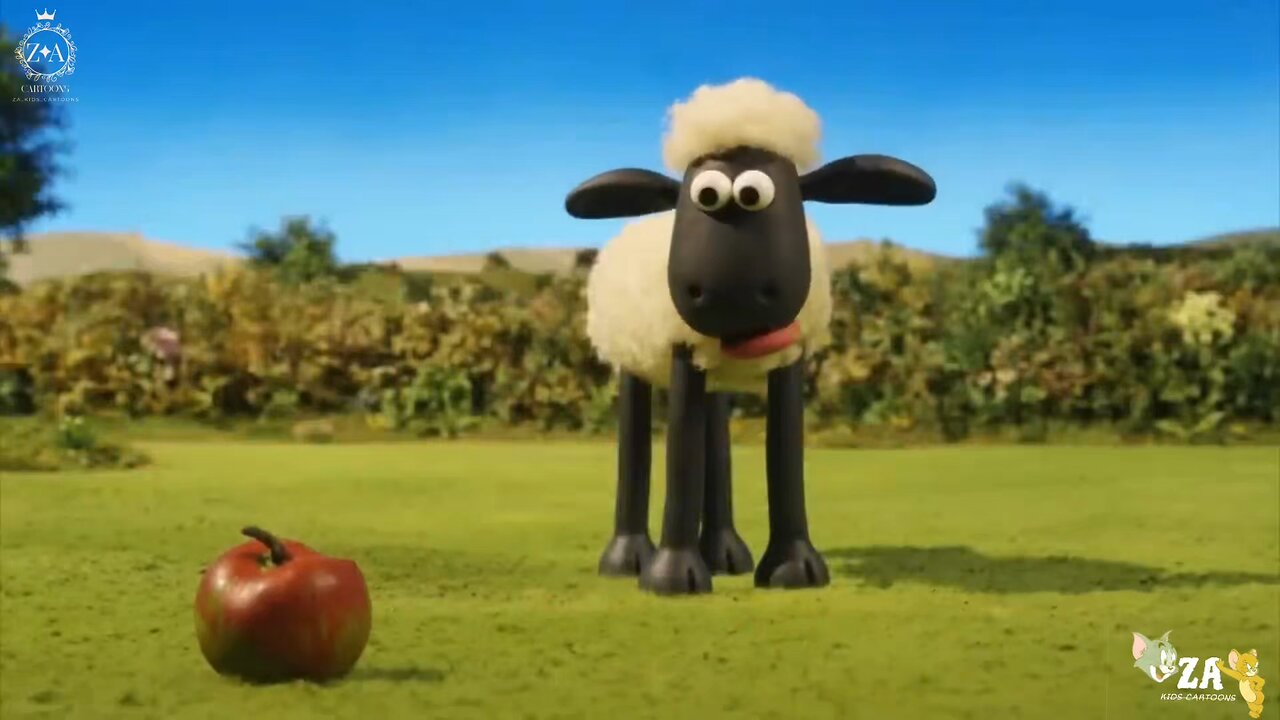 Shaun the sheep Cartoons