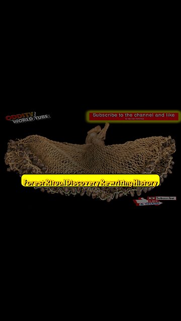 Forest Ritual Discovery: Rewriting History? #Archaeology #Mystery #History