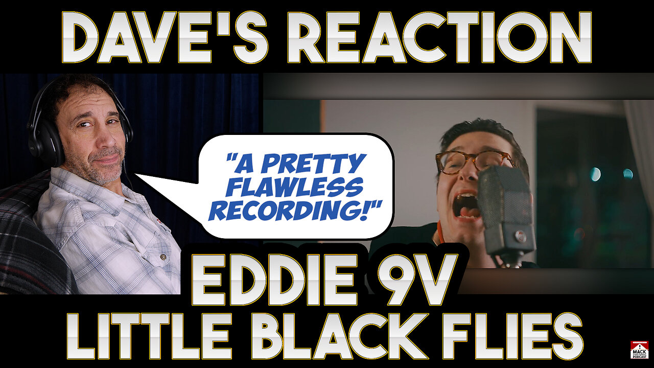 Dave's Reaction: Eddie 9V — Little Black Flies