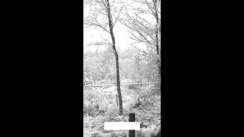 don't worry about the future