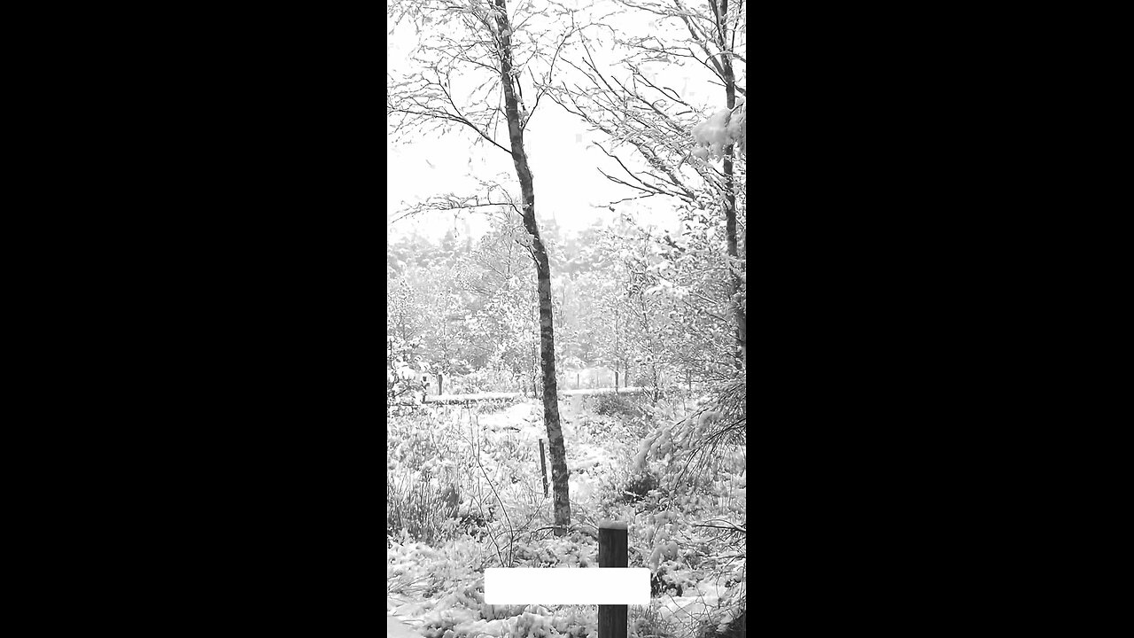 don't worry about the future