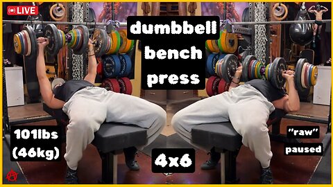 4x6 w/ 101lbs (46kg) Pause Dumbbell Bench Press
