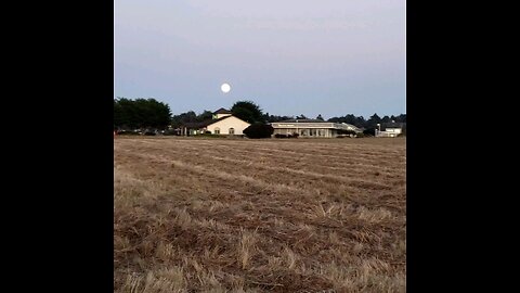 September 6th, 2025 on the North Pacific Coast, a full red moon is rising as the sun is setting too.