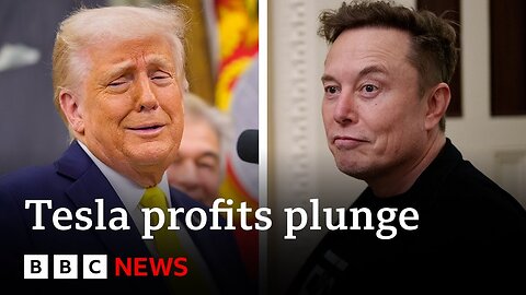 Elon Musk to reduce US government role after Tesla profits plunge | BBC News