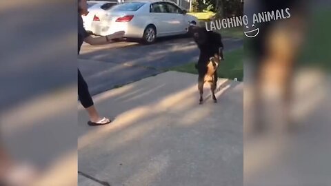 Funny Animals must watch 🤣😁