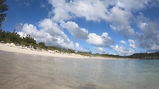 April Snorkel in Bermuda