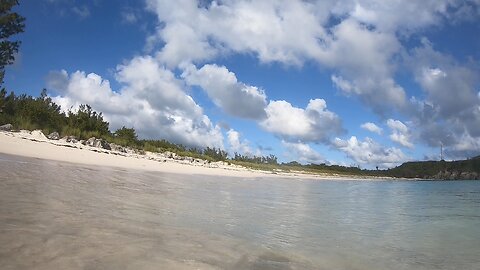April Snorkel in Bermuda