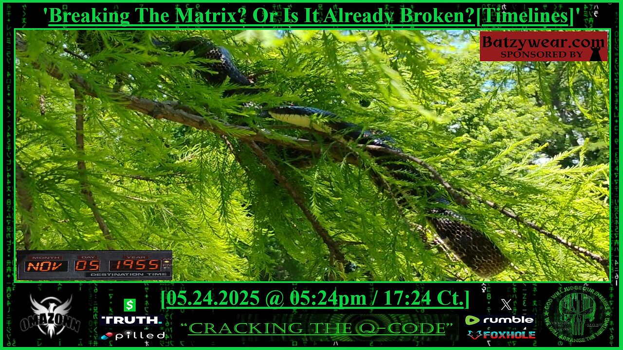 "CRACKING THE Q-CODE" ~ 'Breaking The Matrix? Or Is It Already Broken? [Timelines]'