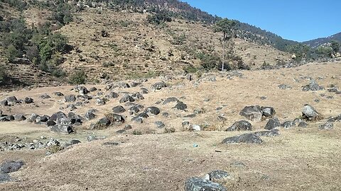 view zabardast hai