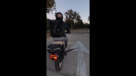 Comin out the Dog Park