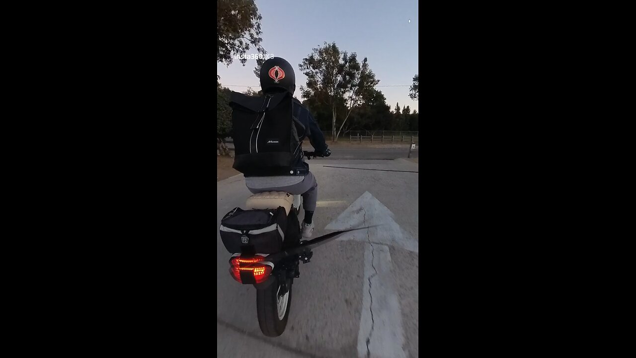 Comin out the Dog Park