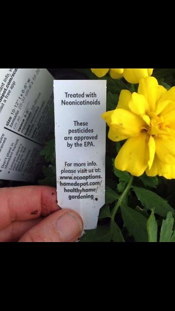 White people things.