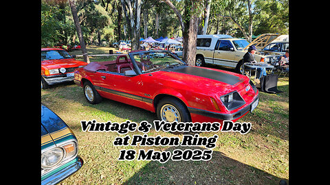 FERROCSA Arena during Vintage & Veterans Day at Piston Ring🔥 Stunning Classic Cars #ferrocsa