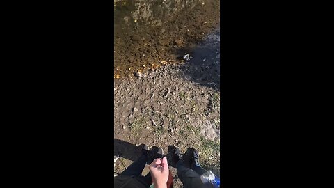 #insta360 Apple River Canyon State Park