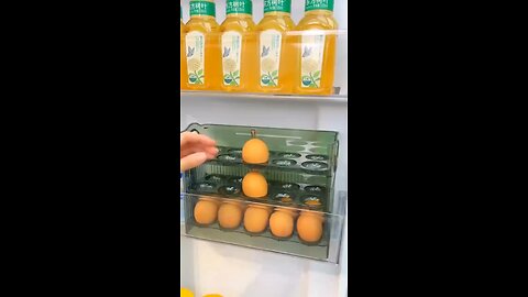 Egg organizer in the refrigerator