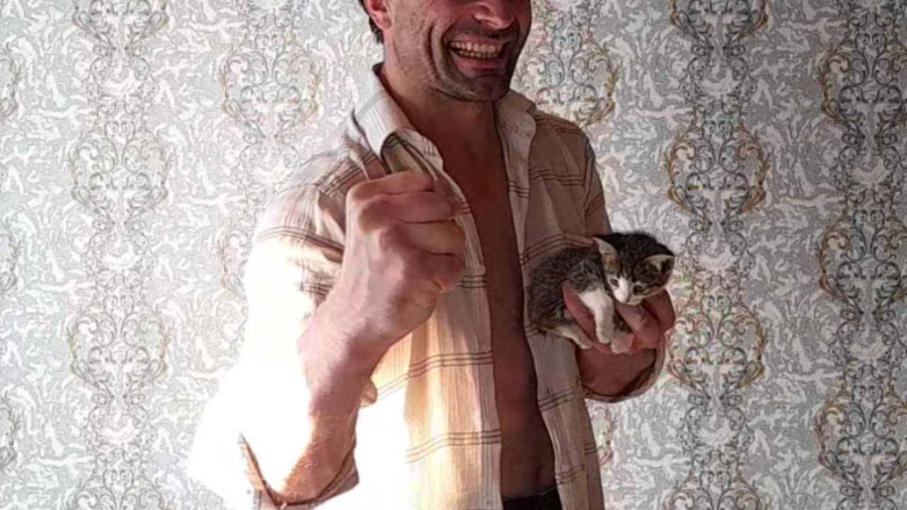 animal