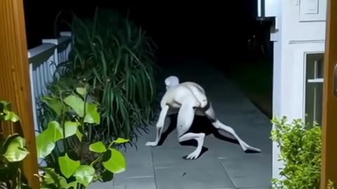 10 Most Terrifying Things Caught on Camera (Part 1)