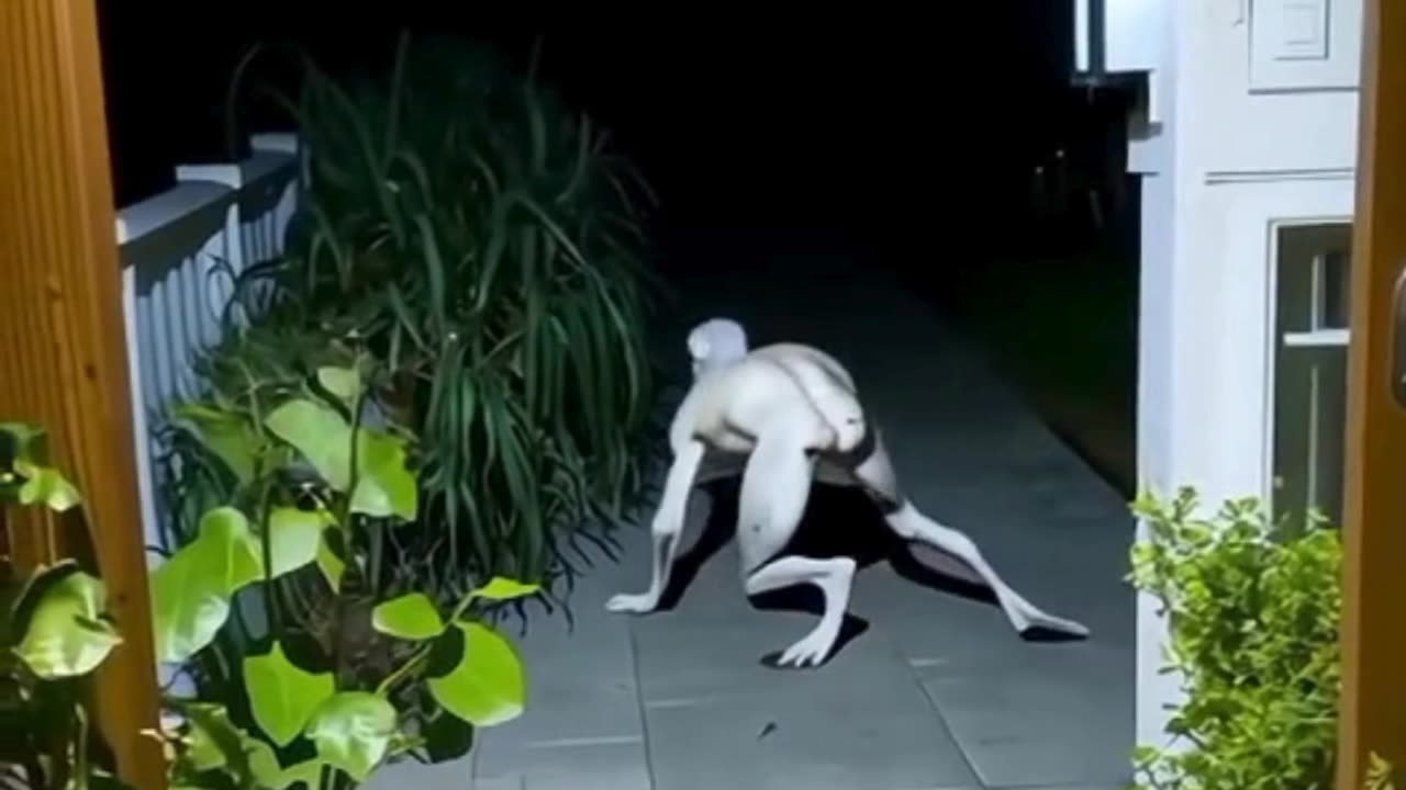 10 Most Terrifying Things Caught on Camera (Part 1)