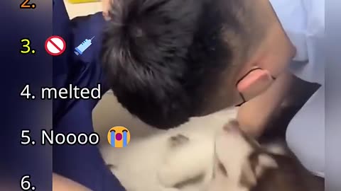 Dogs in Vet Moments
