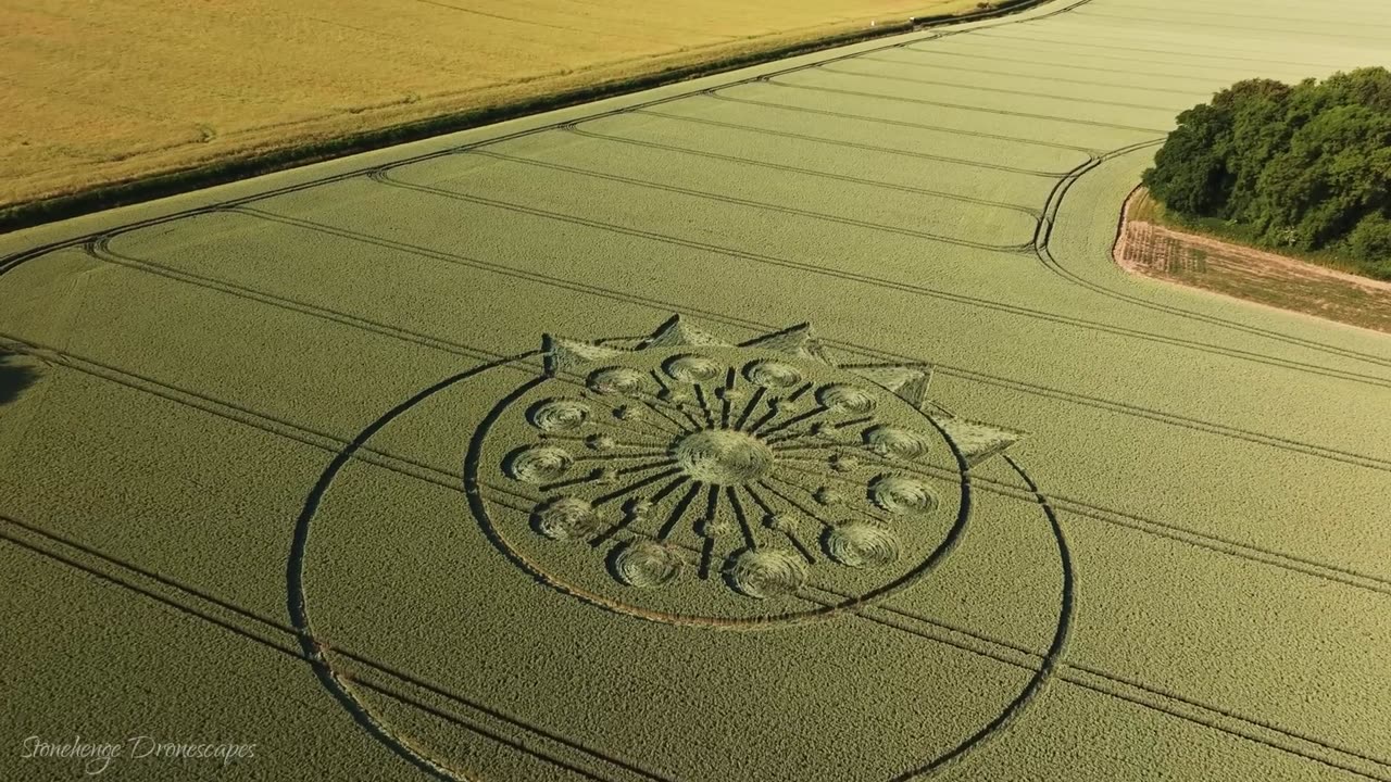 Crop Circle | Allan King Way près d'Owslebury, Hampshire | 26/06/23