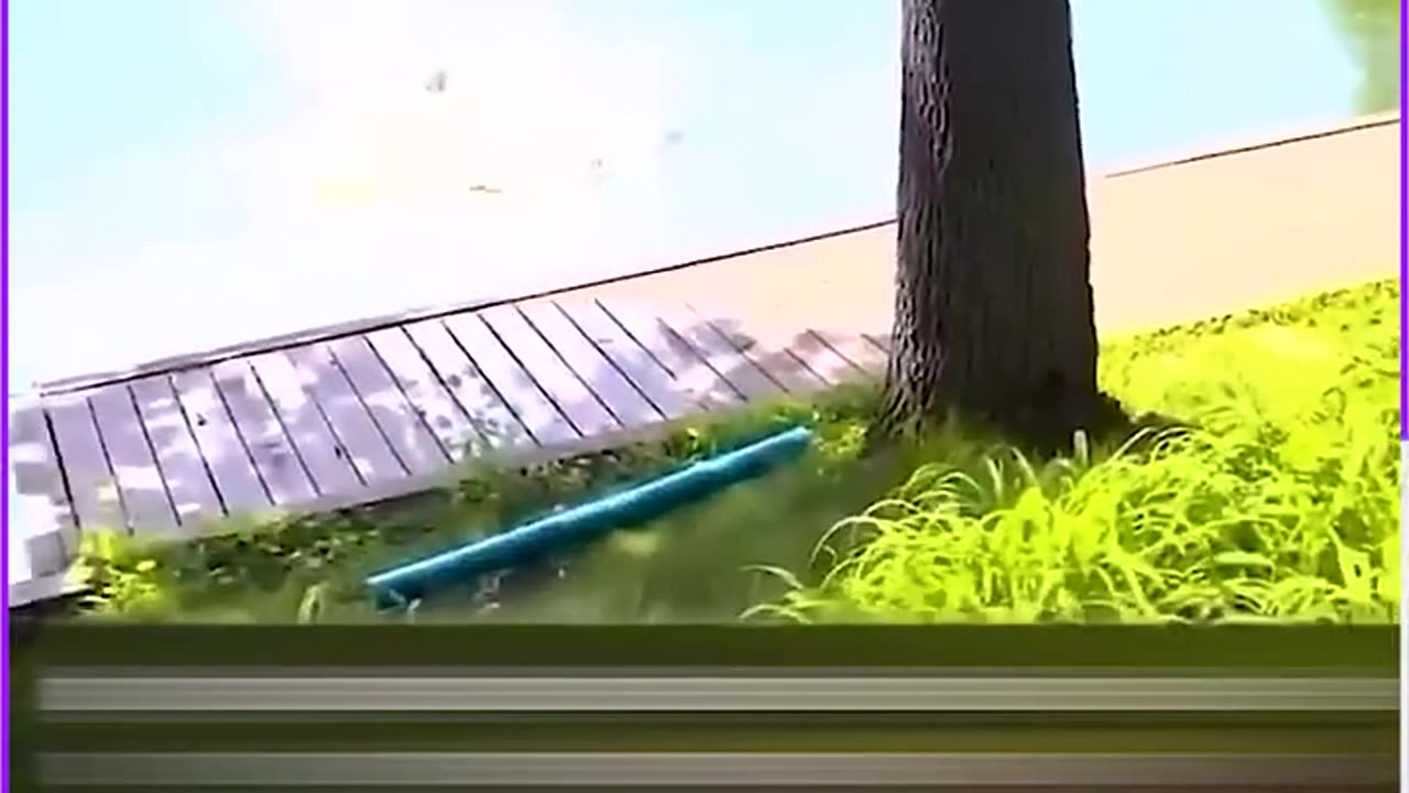 Funny video