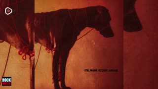 Still In Love - Recovery Language 2025