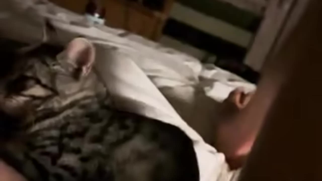 Cat Scratch Fever