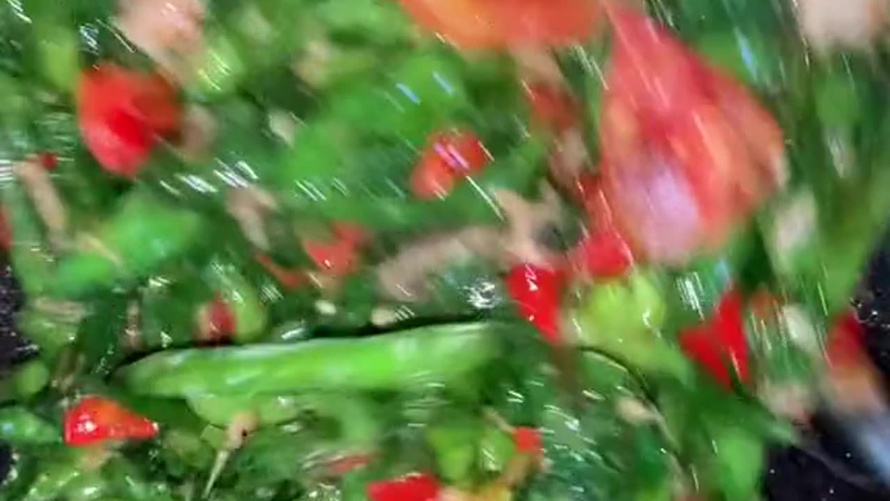 "Simple and Satisfying: 5 Everyday Meals You Can Cook in 30 Minutes"