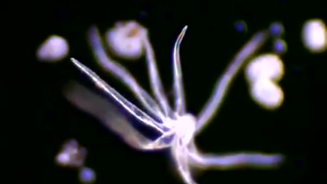 Sky dust over last few days looks a bit spooky - Rob Deutsch - 4-3-2025