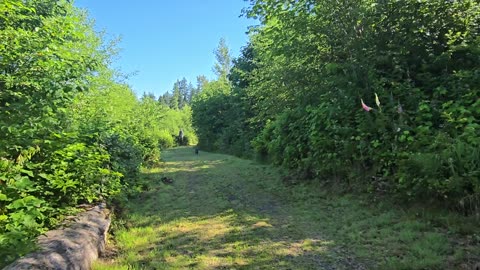 Contingent Offers - Real Estate Walk-N-Talk