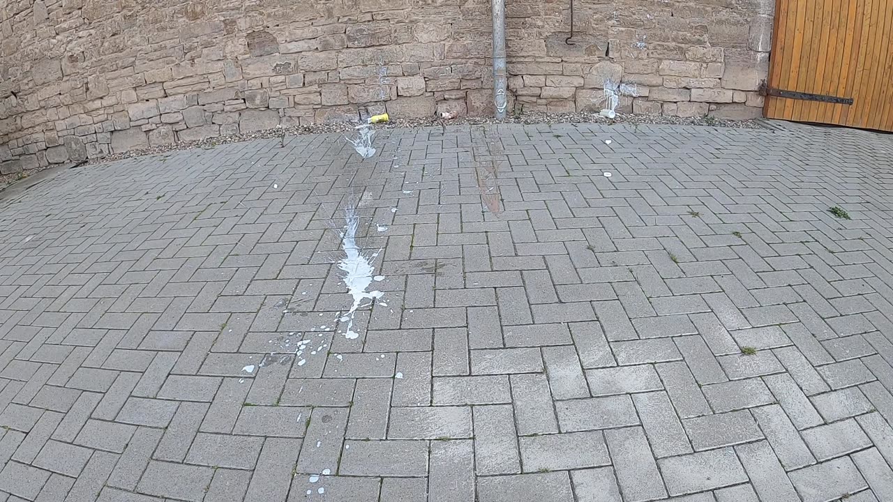 MEINE MEINUNG ZU V FOOD