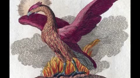 Dark Therory - Demons and the Illuminati