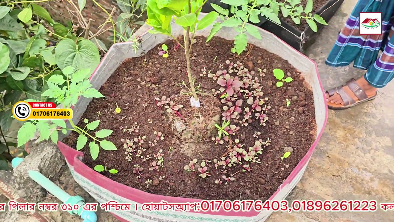 সবজির বেডের পাশ খাড়া করে রাখার সহজ উপায় 🌱 | Raised Bed Support | Siraj Tech Gardening Tips